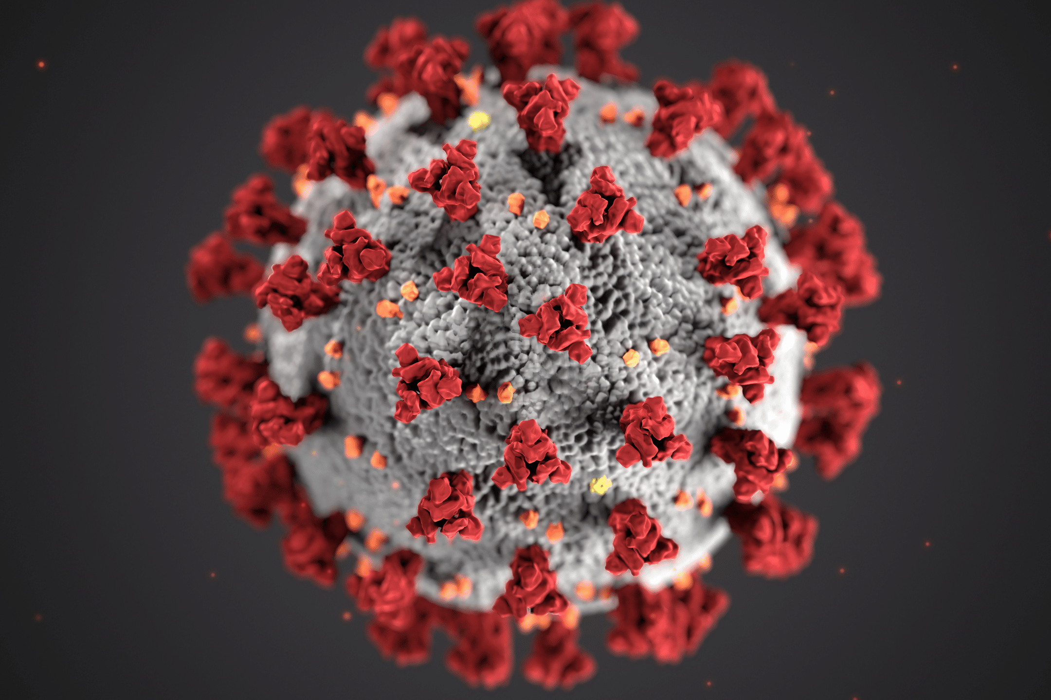 3D render of virus under microscope